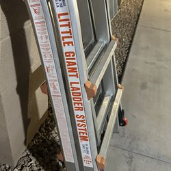 Little Giant Type 1A Ladder 