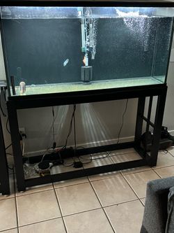 Fish tank with stand