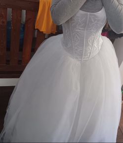 Wedding Dress, Toaster over, Unwavering