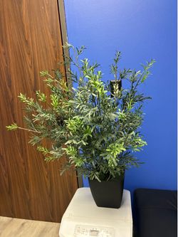 Artificial Tree plant