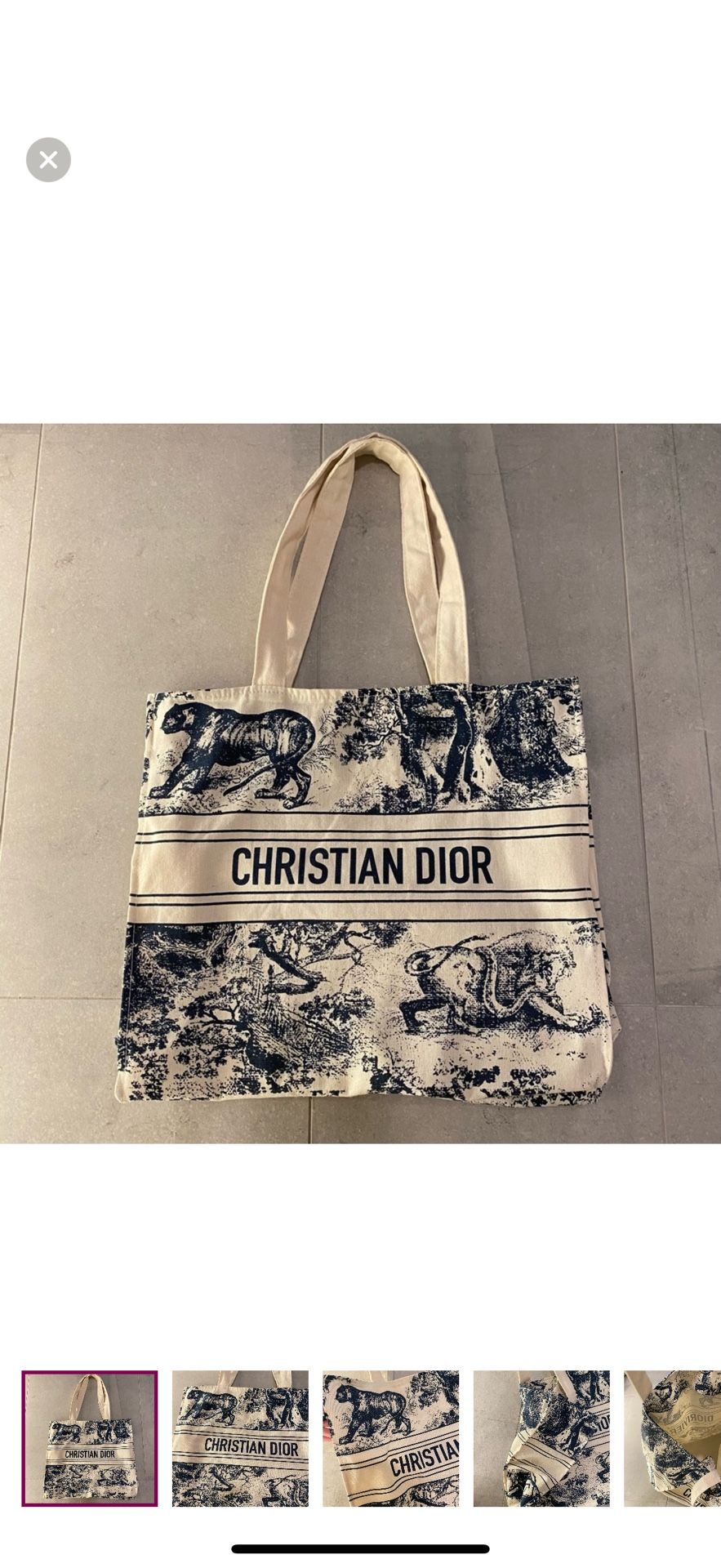 Dior Tote Bag