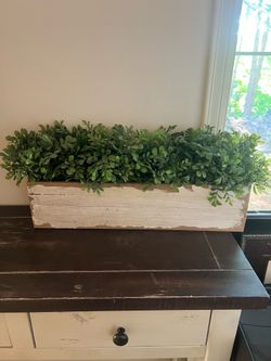 Home plant