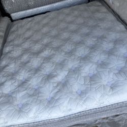 King Size Eastern Euro King Koil Intimate Medium Firm Euro Top Stearns & Foster Reserve Luxury Aireloom Kluft Hotel Collection Saatva Avocado Purple