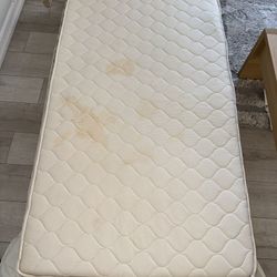 Sleeping Organic Twin Mattress 