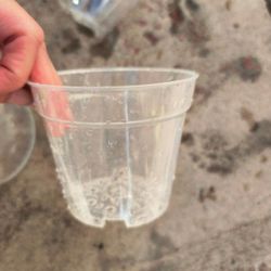 4 Inch Clear Nursery Plant Pots