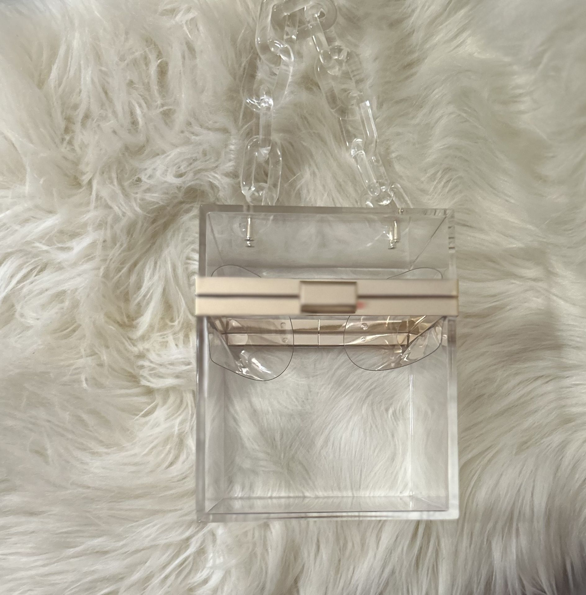 Square Acrylic Purse