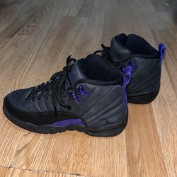 Air Jordan 12 Retro GS Dark Concord 