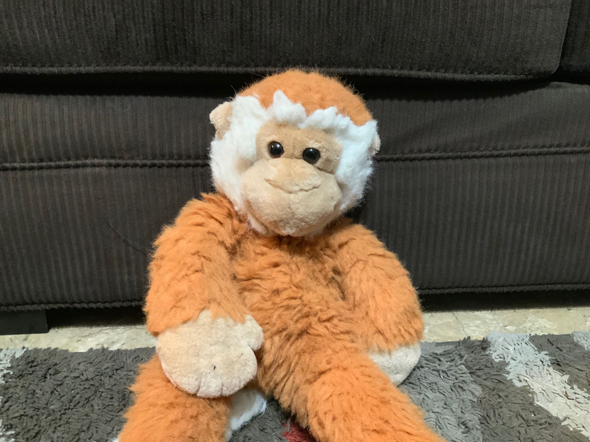 Stuffed Monkey