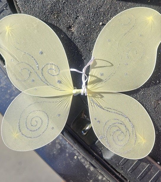 Light Green Butterfly Wings