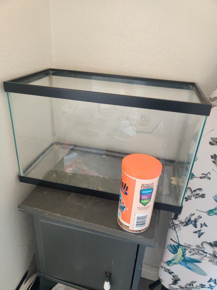 Fish Tank Aquarium