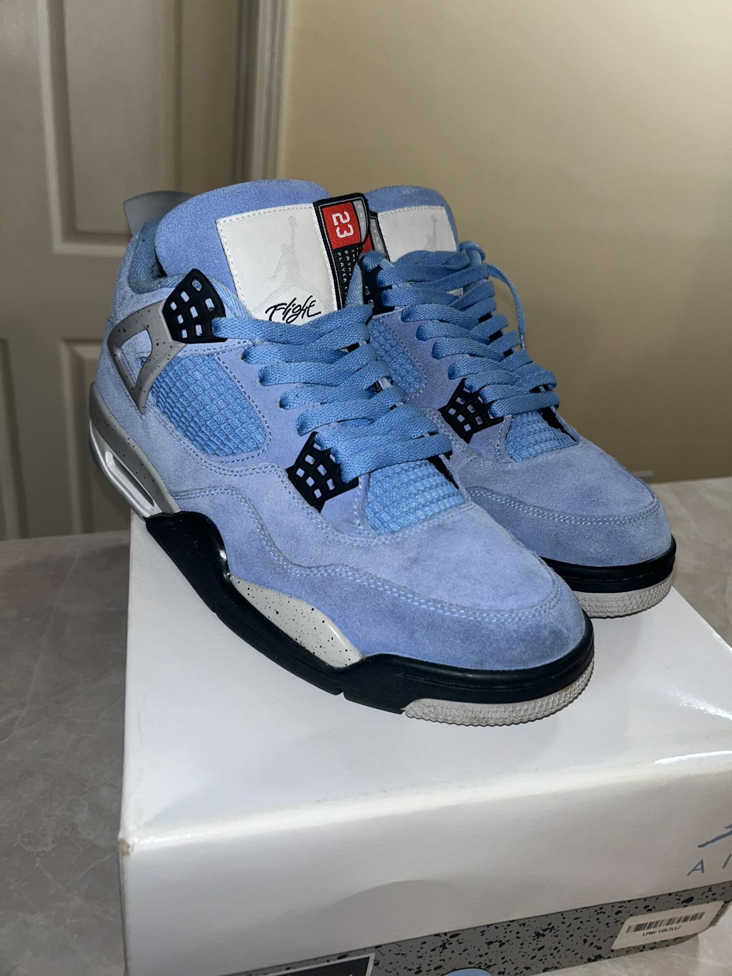 Air Jordan 4 Retro University