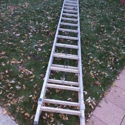 Ladder