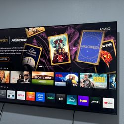 Vizio 65 Inch Smart Tv