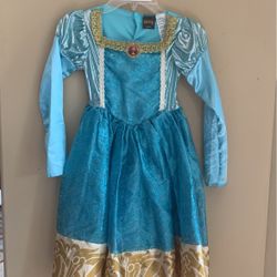 Brave Halloween Costume 