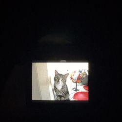 canon powershot is420xs