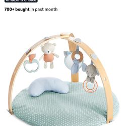 Baby play gym