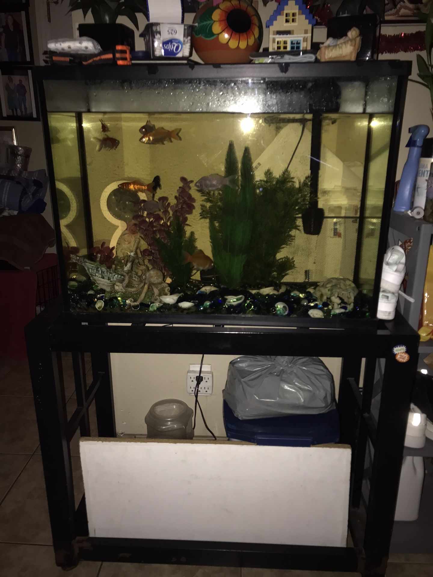 50 Gallon Fish Aquarium