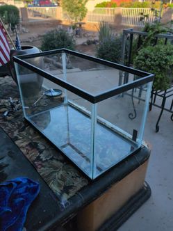 10 gallon fish tank
