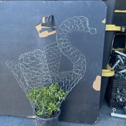 Swan Topiaries With Plants 