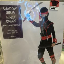kids ninja