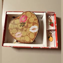 Coach Money Wallet/coin