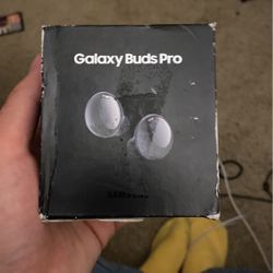 Galaxy Buds Pro 