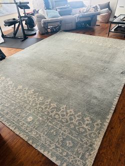 Pottery  Barn Rug