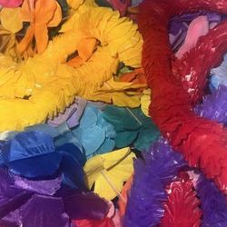 Party lalys & Flowers 