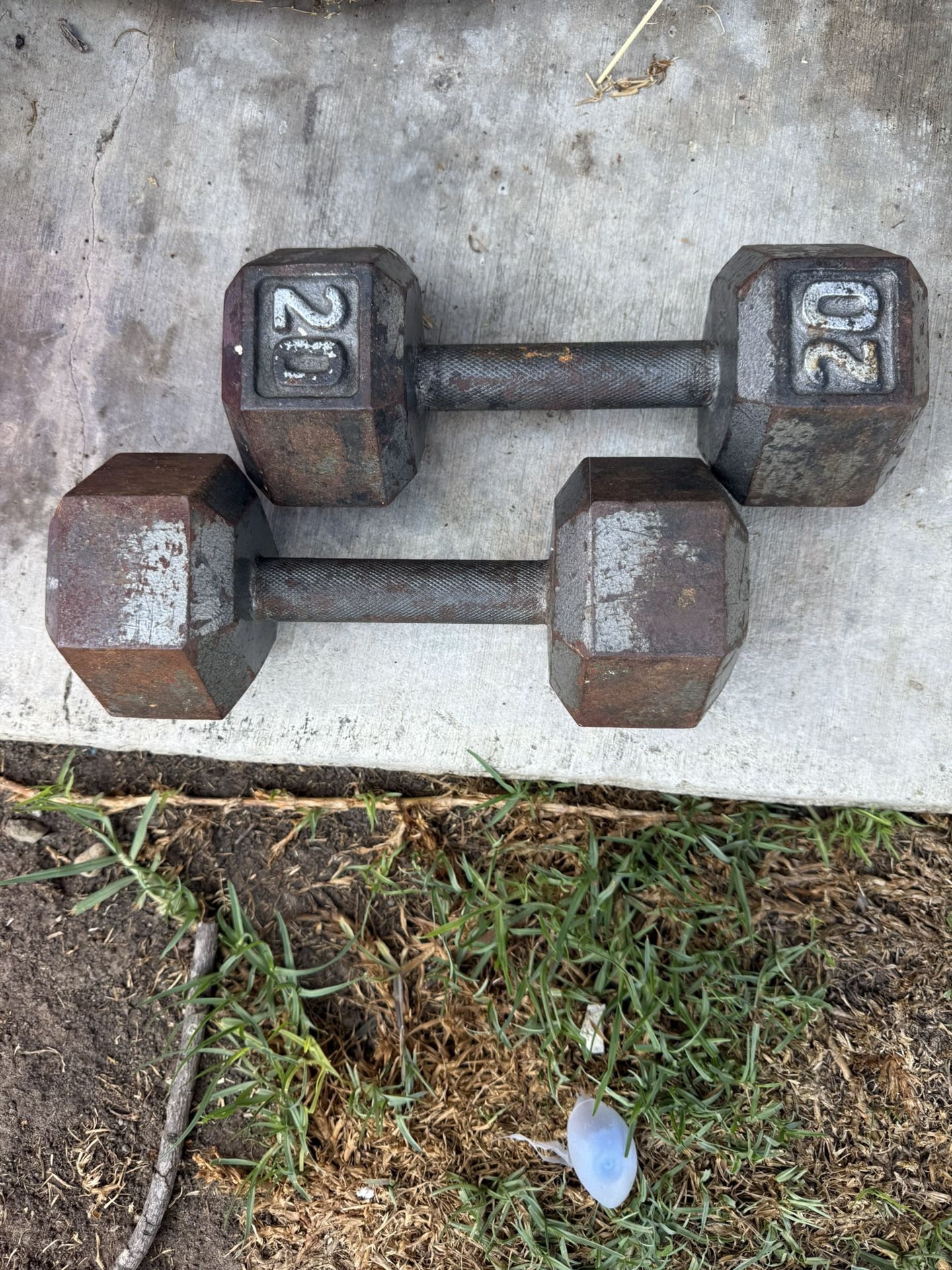20 Pound Weights