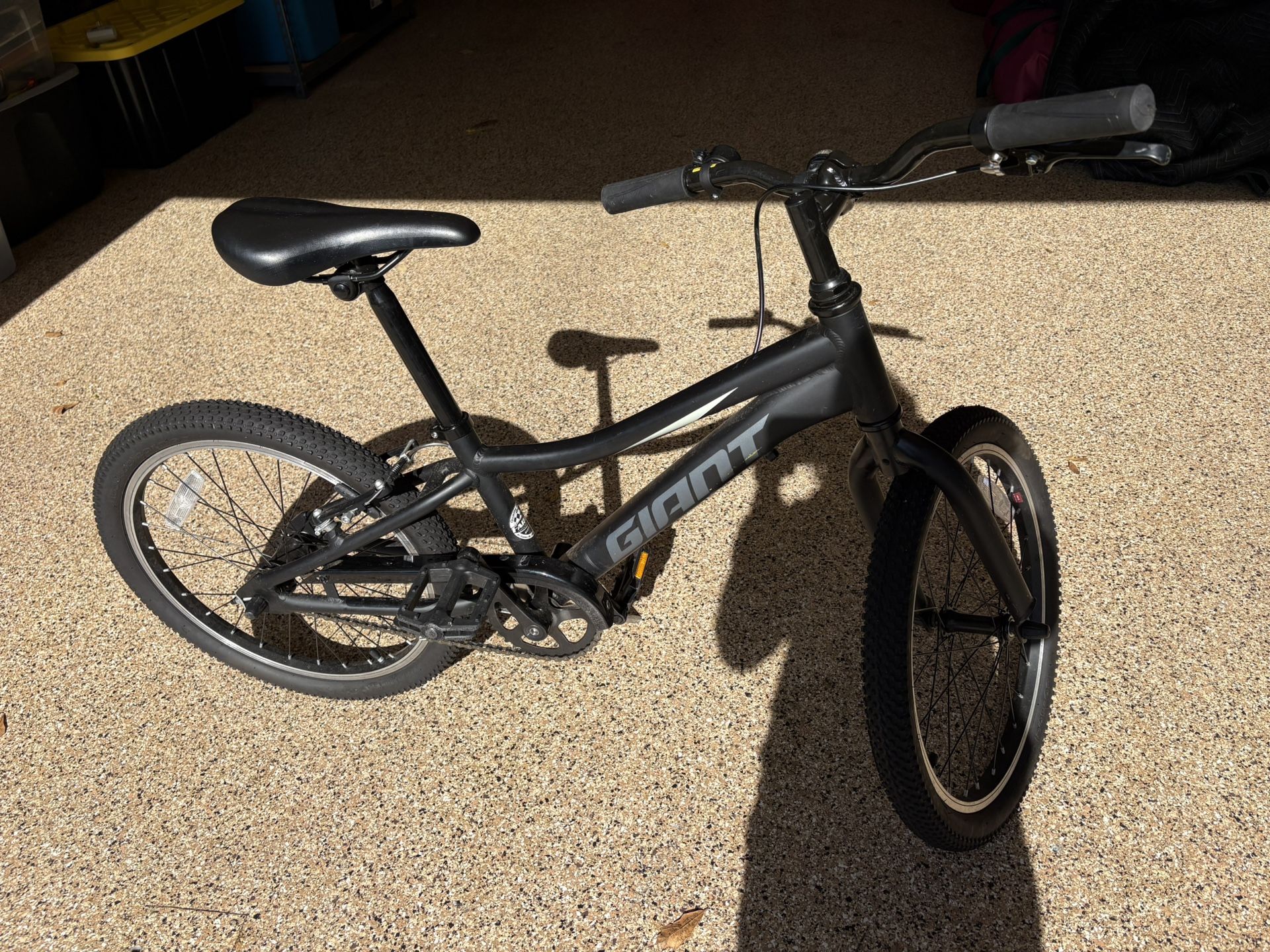 GIANT Brand Kids Bike