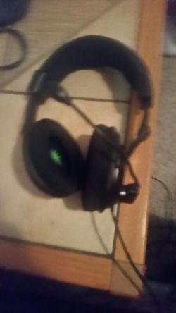 Turtle beaches