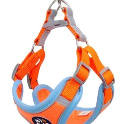 It's 4 Pets - Breathable Dog Harness and Leash Set | Adjustable Straps | Reflective Stitching | Tag Holder | 1.5 Meter Leash, Blue and Orange, Small S