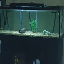 150gal Fish Tank
