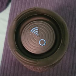 JBL CHARGE 5 WIFI SE