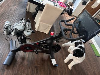 Peloton Bike Exercise Bike/2pairs of shoes – Excellent Condition