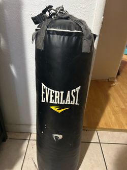 Everlast punching bag and gloves