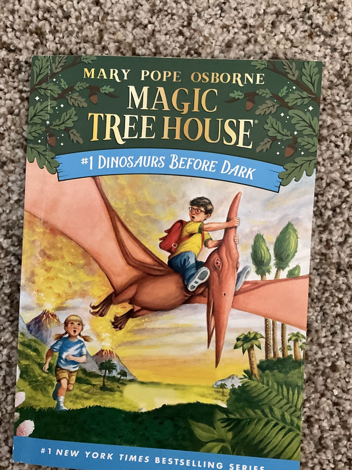 Magic Tree House Books (1-28) + #1 Super Edition for Sale in San 