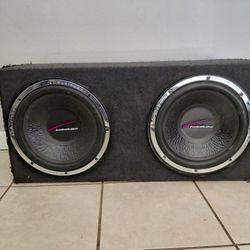 12 Inch Subwoofers 