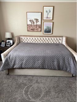 Tufted Velvet Daybed with Trundle (mattress included)