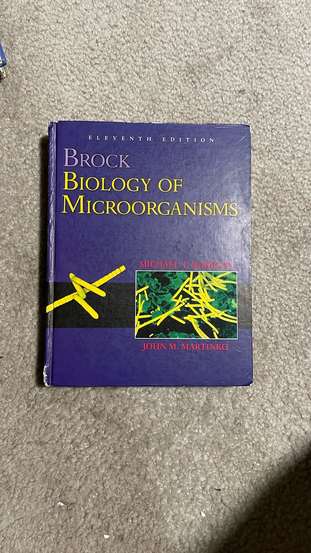 Brock Biology Of Microorganisms, 11th Edition 
