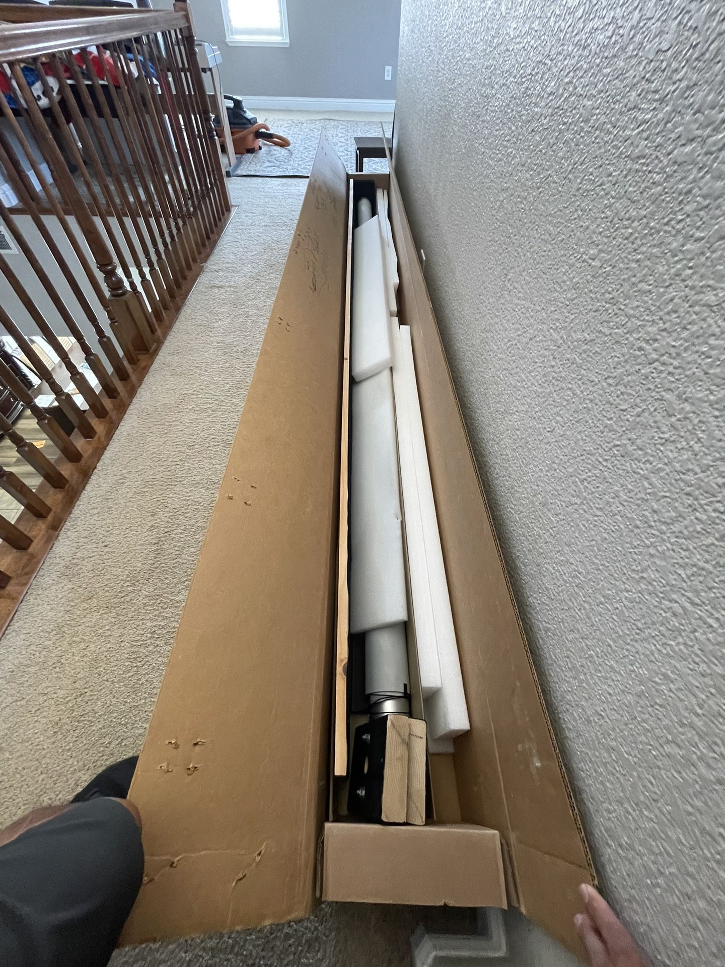 Projector Screen