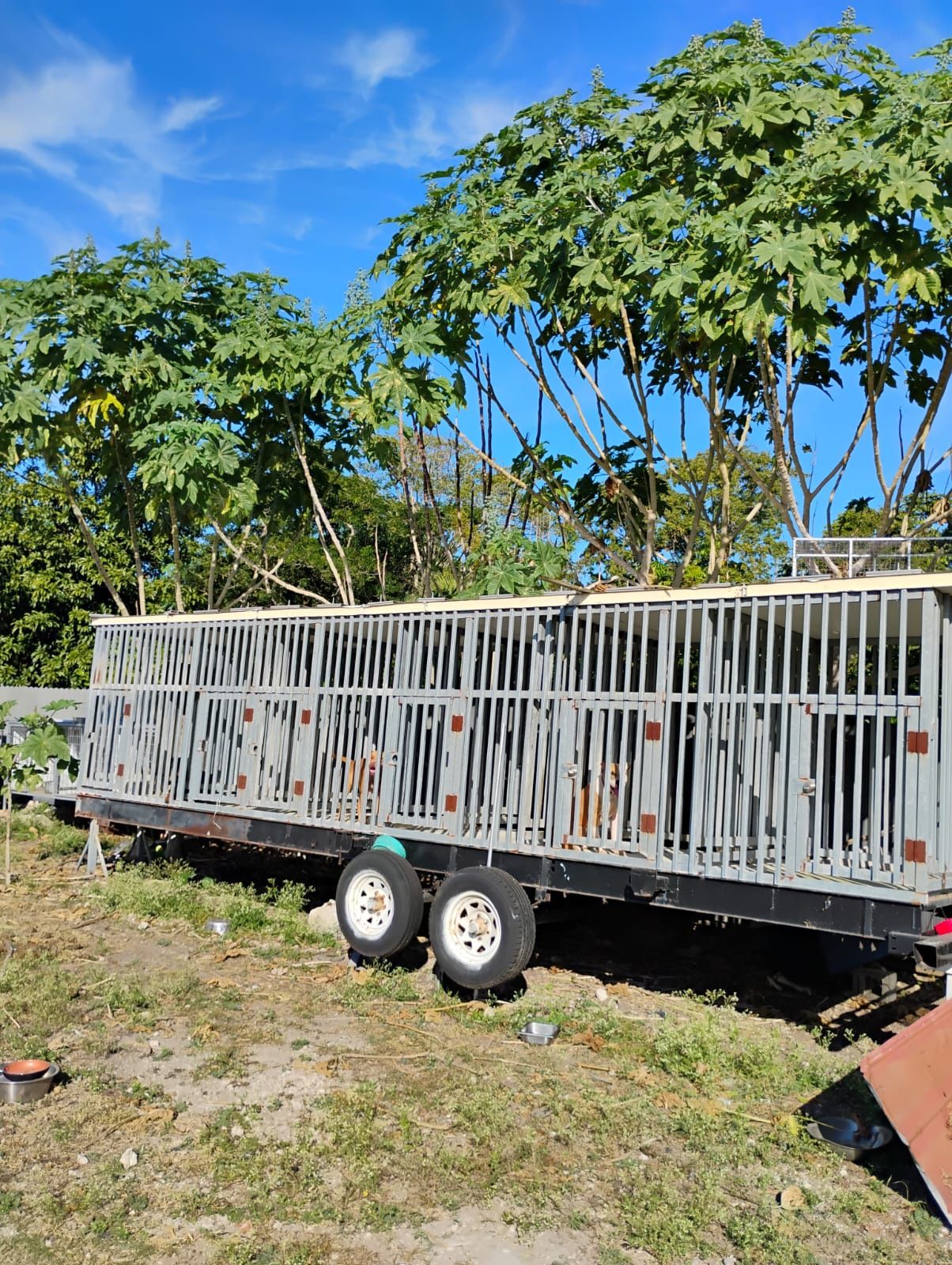 ANIMAL SHELTER TRÁILER