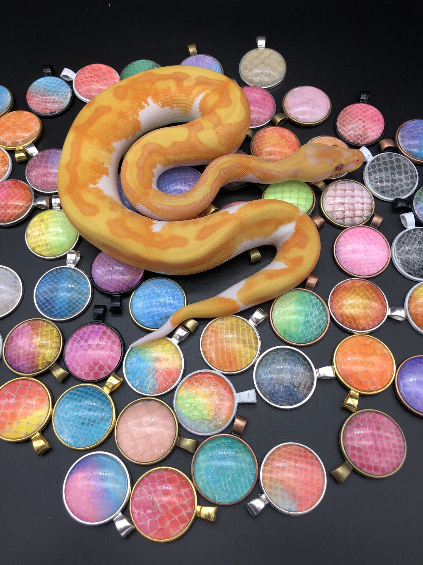 Snake Shed Pendant Necklace- Multiple Designs & Colors
