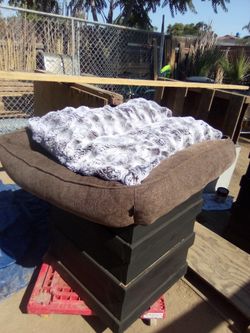 40-in Tempur-Pedic dog bed