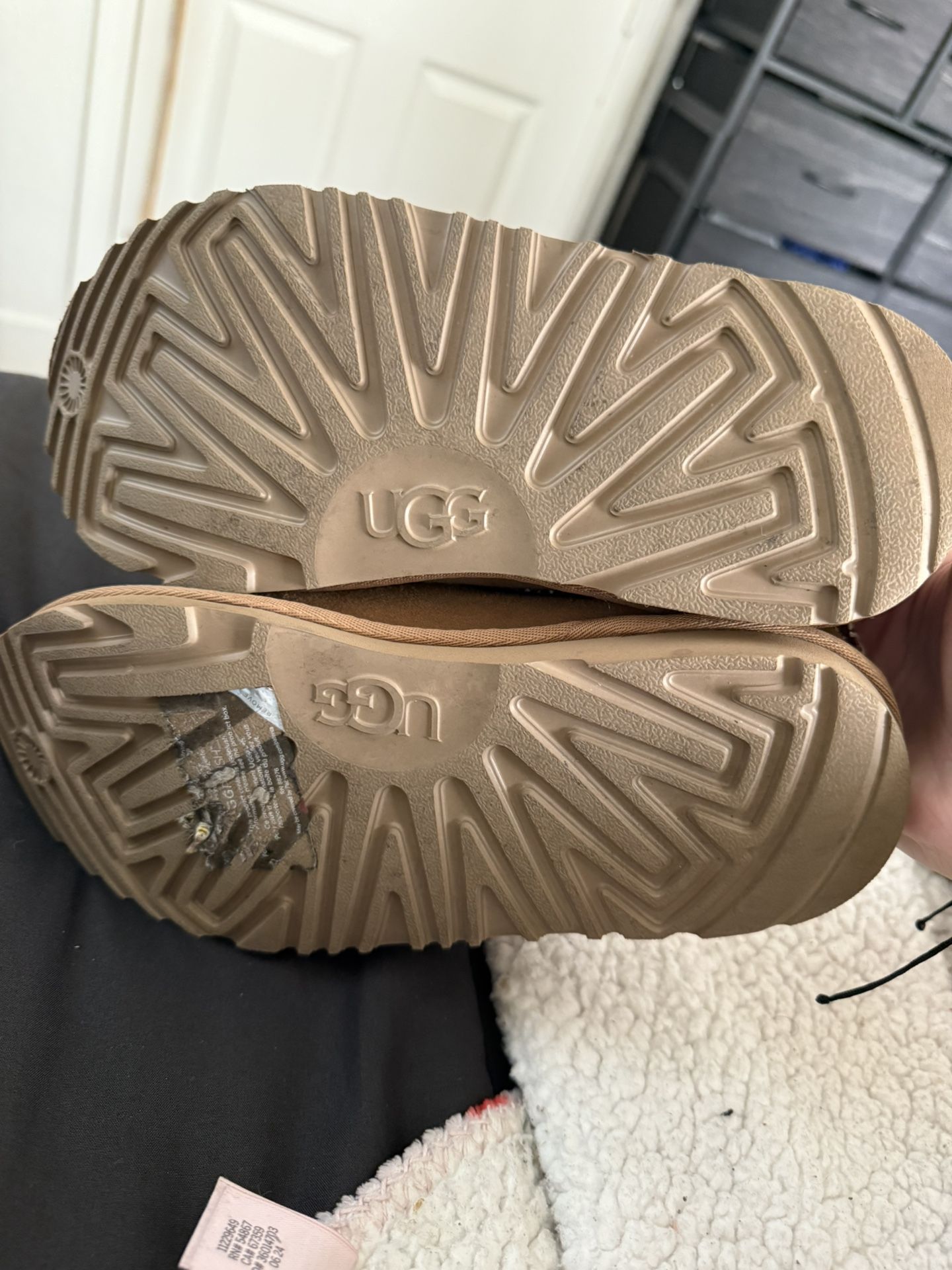 Ugg Tazman