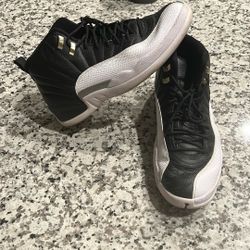 Jordan 12 Playoff Size 11