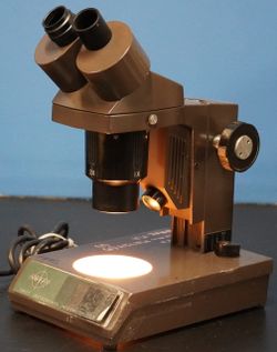 Swift Stereo 80 Microscope (Used)