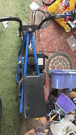 Mini bike
