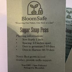  Seeds, Semillas A La venta!