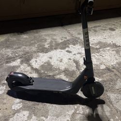 Bird Electric Scooter